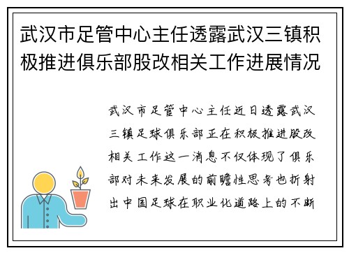 武汉市足管中心主任透露武汉三镇积极推进俱乐部股改相关工作进展情况 武汉市足管中心主任透露武汉三镇积极推进俱乐部股改相关工作进展情况
